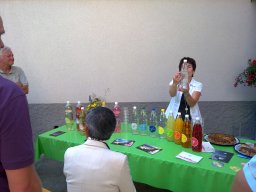 2010 Gontenbad