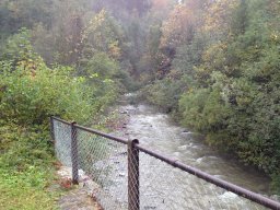 IMG_1178
