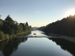 IMG_7219