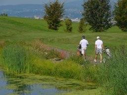 RyderCup-2024-ETH-HSG